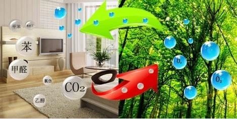 1499050211886.jpg 1499050211886.jpg