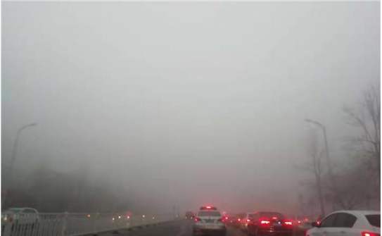 timg (1).jpg timg (1).jpg